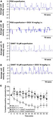 Dantrolene Prevents the Lymphostasis Caused by Doxorubicin in the Rat Mesenteric Circulation